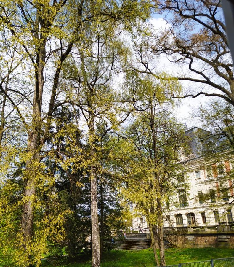 Apartament Przy Zamku Pszczyna Extérieur photo